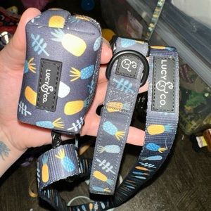 ‘Pineapple Island’ collar, leash & poo bag - collar: Medium - leash: Large